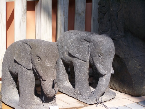 Bonsai Elefantes - Natura Garden