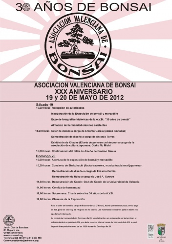 Cartel XXX Aniversario Asociación Valenciana de Bonsai