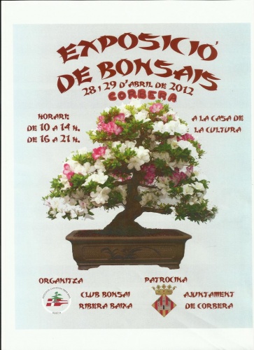 Bonsai Expo en Corbera  ( Valencia ) - eventos