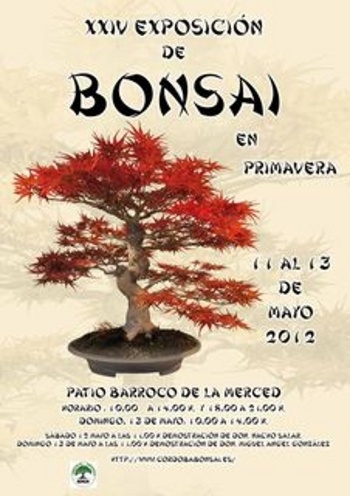 Cartel XXIV Exposición de Bonsai Primavera en Cordoba