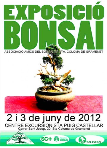 Cartel Exposició Bonsai Sta Coloma de Gramenet