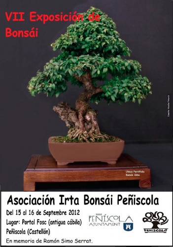 Cartel VII Exposición de Bonsái - Irta Bonsái Peñiscola