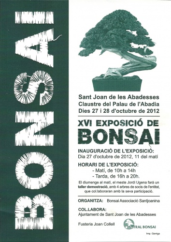 Cartel XVI Exposició de Bonsai - Sant Joan de les Abadesses