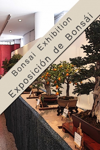Cartel XVIII Encuentro de Entidades del Bonsai de Cataluña Exposición de Bonsais y de Ikebana