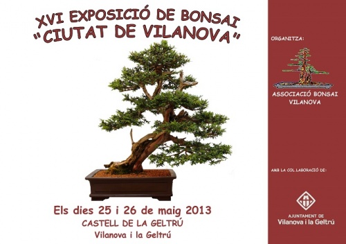 Bonsai XVI Exposició de Bonsai Ciutat de Vilanova - eventos