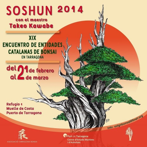 Bonsai Soshun 2014 - Encuentro de entidades Catalanas de Bonsai - eventos