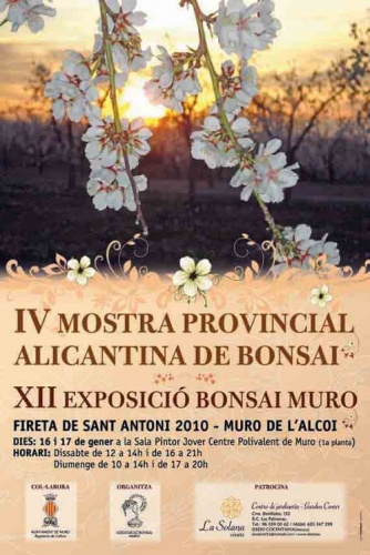 Bonsai Fotos de la IV Muestra Provincial de Alicante y Demostracion de Jaume Canals - bonsaime