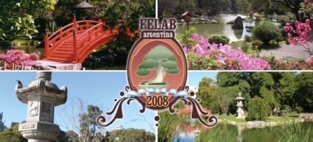Bonsai Felab 2008 - eventos