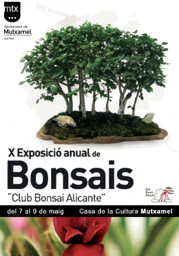 Cartel X Exposicion Bonsai Alicante - Club Bonsai Alicante