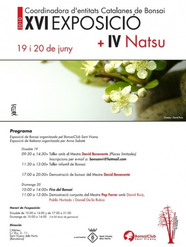 Cartel XVI Exposicio - IV Natsu 2010 - Entitats Catalanes de Bonsai