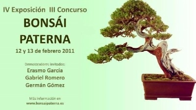 Bonsai Bonsai Paterna, IV Exposición y III Concurso de Bonsái - eventos