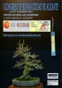 Cartel Primer congreso de bonsai ciudad de Alicante